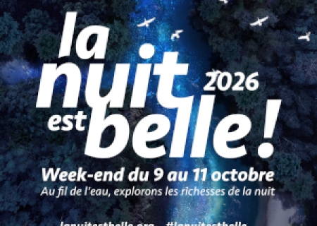 La nuit est belle ! (2/2)