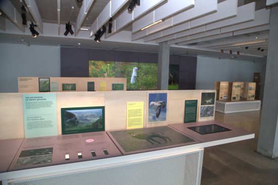 Visites panoramiques du Salève